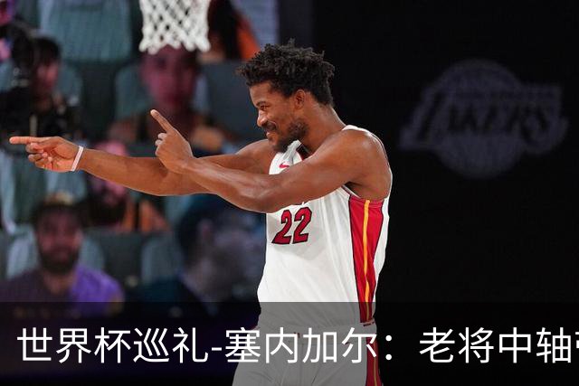 世界杯巡礼-塞内加尔：老将中轴带来安全感，非洲顶流前景可期！